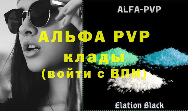 гашик Богданович