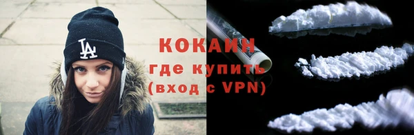 гашик Богданович
